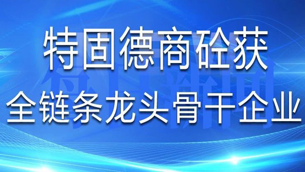 祝贺特固德商砼获评山东省建筑业第一批“全链条龙头骨干企业”